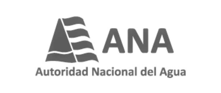 logo_ana modifocado 2